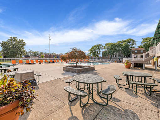 A sunny day at the park with picnic tables and benches.