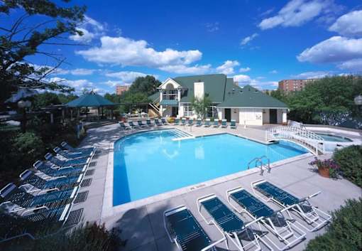 Village Club on Franklin swimming pool surrounded by sun loungers and trees.