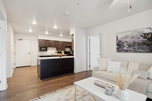 Kitchen and living area