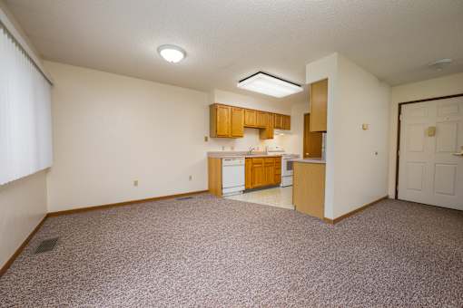 A kitchen area with a counter and cabinets.