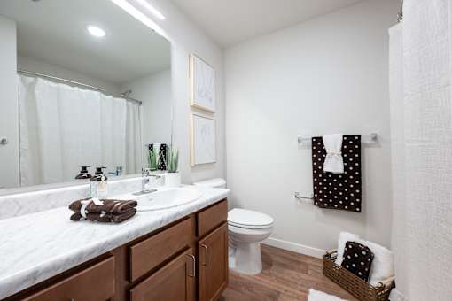 A white bathroom with a towel on the counter.