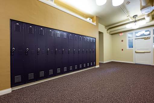 A row of dark blue lockers in a room with brown carpeting.