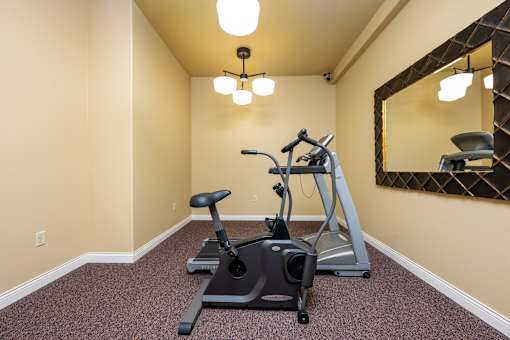 A room with a treadmill and exercise bike.