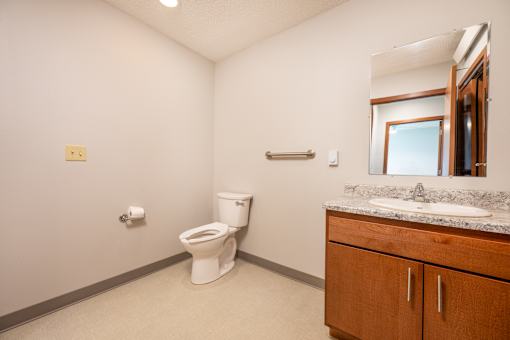 A white toilet sits in a bathroom with a marble counter and wooden cabinets.