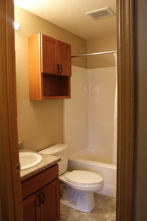 A white toilet sits in a bathroom with a wooden cabinet and a white sink.