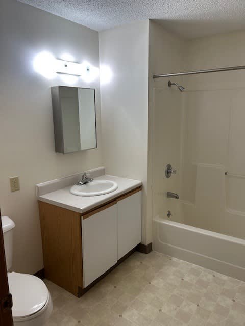 A bathroom with a sink, toilet, and bathtub.