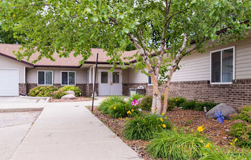 A tree with green leaves stands in front of a house.