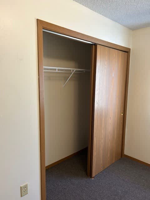 A wooden closet with a shelf and a door is open.
