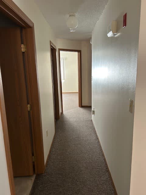 A hallway with a carpeted floor and a white wall.