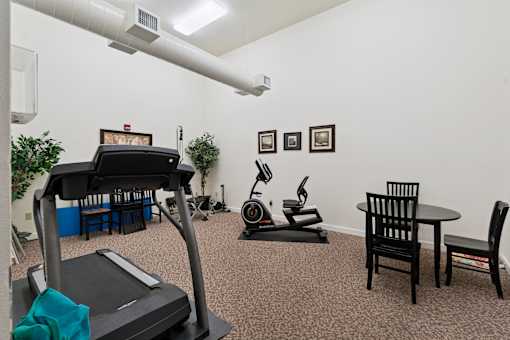 A room with a treadmill, exercise bike, and other workout equipment.