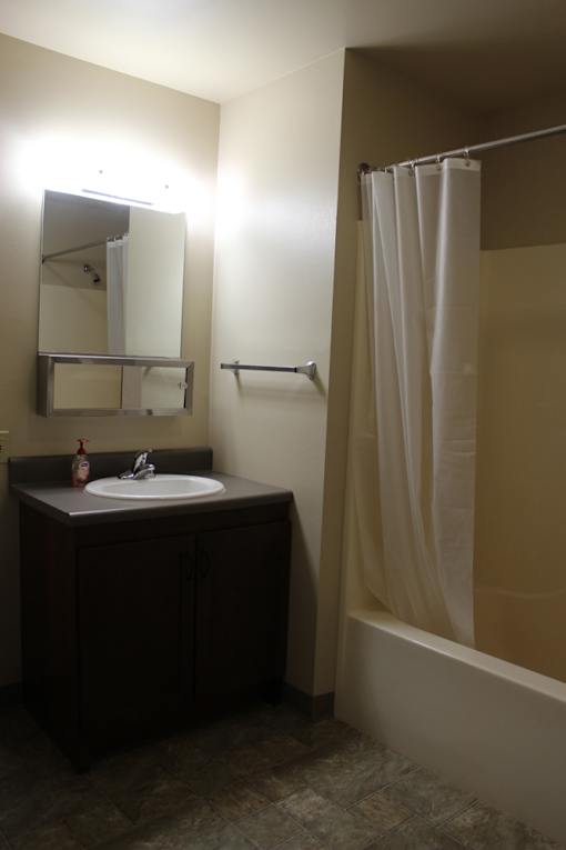 A bathroom with a sink, mirror, and shower.