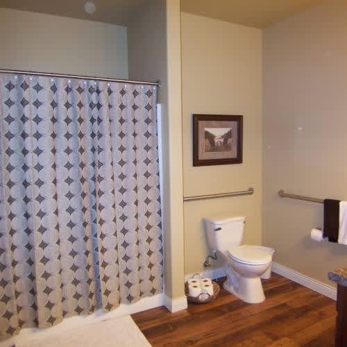 A bathroom with a toilet, a shower curtain, and a picture on the wall.