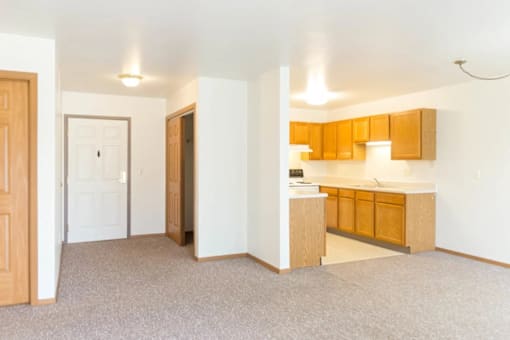 A kitchen area with wooden cabinets and a countertop.