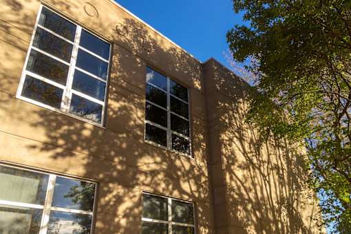 A building with windows and a tree in front.
