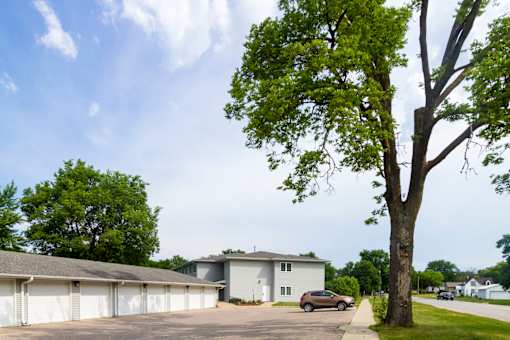 Ivy garages