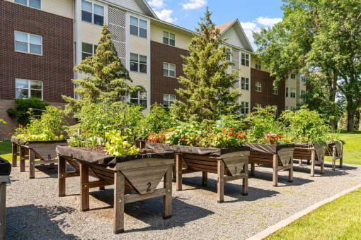 Community Garden