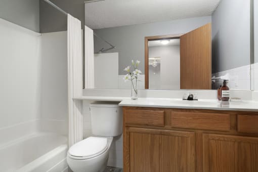 Bathroom at Pebblebrook Flats, Minnesota