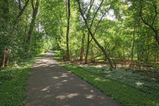 Paved walking path through the woods at Mallard Creek, Minnesota, 55427