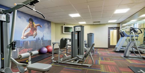 Modern Fitness Center at Medicine Lake Apartments, Minnesota
