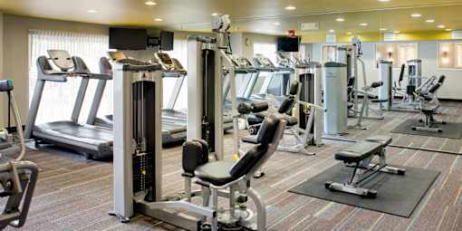 A gym with a variety of equipment including treadmills, weights, and benches.