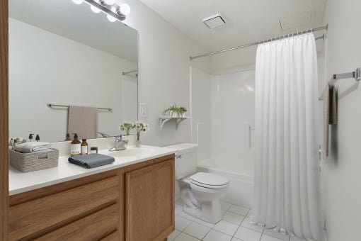 Bathroom at Pebblebrook Court, Bloomington, 55437