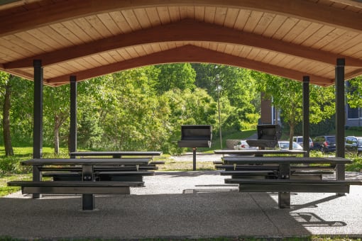 Picnic And BBQ Area at Pebblebrook Court, Minnesota, 55437