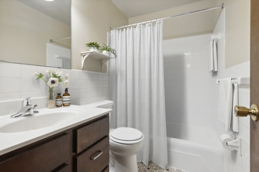 a bathroom with a shower and a sink and a toilet at Silver Lake, New Brighton, Minnesota