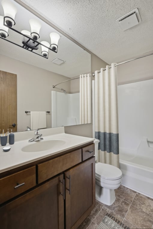 a bathroom with a sink toilet and bathtub  at Willow Creek, Plymouth, MN