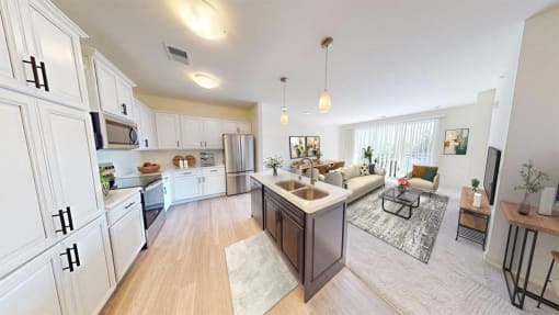 Stainless Steel Appliances
