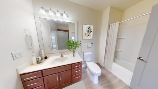 a bathroom with a large mirror and a toilet