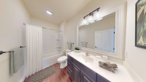 A bathroom with a toilet, sink, and mirror.