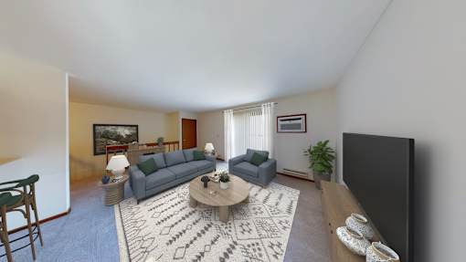 A living room with a grey couch, a coffee table, a flat screen TV, and a rug.