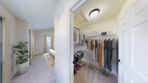 A hallway with a white door and a white wall with a plant on the left.