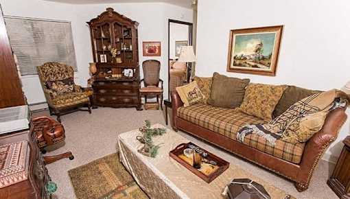 a living room with a couch and a chair