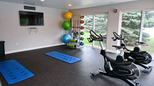 a home gym with a treadmill and exercise balls