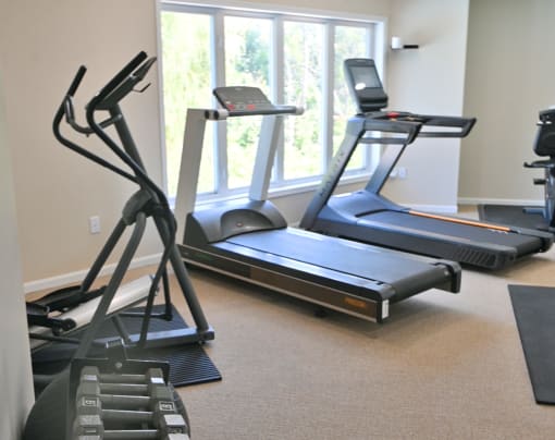 two treadmills and other exercise equipment in an indoor gym