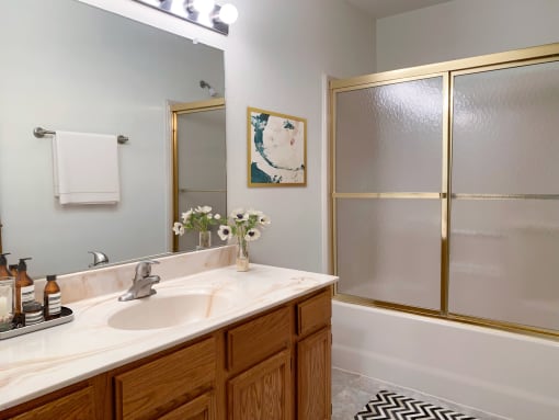 a bathroom with a sink and a shower and a mirror