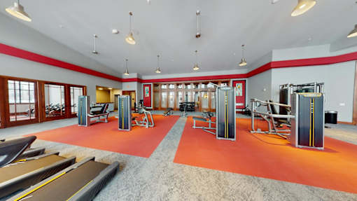 A gym with treadmills, weights and exercise equipment.