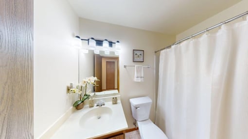 A white bathroom with a sink, mirror, toilet and shower curtain.