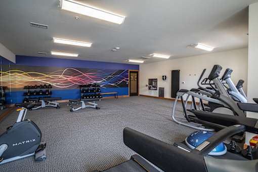 A gym with a blue wall and a row of treadmills.