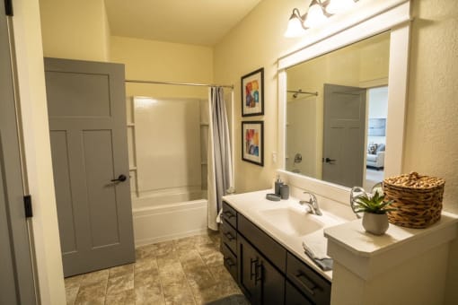 a bathroom with a sink and a mirror and a shower