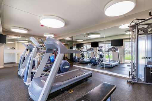 A gym with treadmills and elliptical machines.