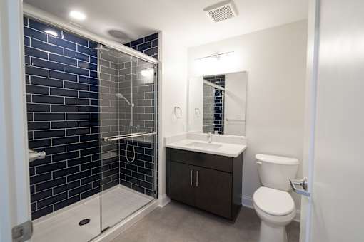 A modern bathroom with a walk-in shower and a toilet.