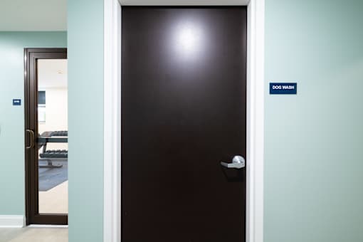 A black door with a sign that says "dog wash" on the wall.