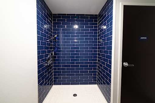 A bathroom with blue tiles and a black door.
