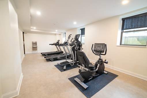 A room with a row of treadmills and elliptical machines.