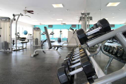 Fitness Center at Captiva Club Apartments at 4401 Club Captiva Drive in Tampa, FL