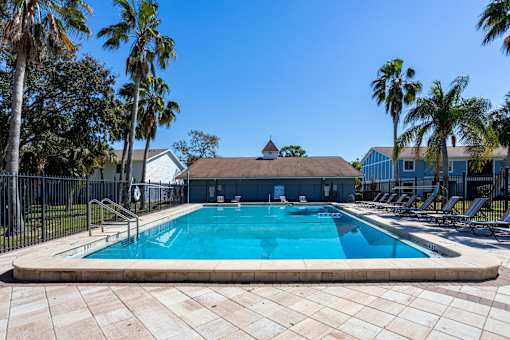 A swimming pool surrounded by palm trees and a fence.