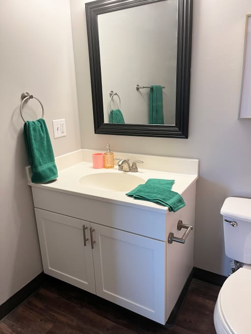 a bathroom with a sink and a mirrorat Centerpointe Apartments, Canandaigua, 14424
