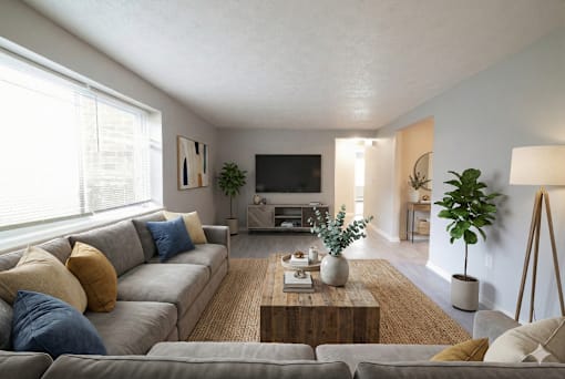Spacious Living Area With TV at Willowbrooke Apartments & Townhomes, Brockport, NY